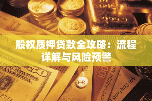 北京股权质押贷款全攻略：流程详解与风险预警