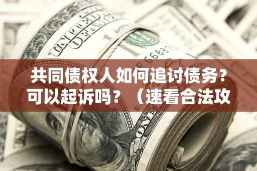 北京共同债权人如何追讨债务？可以起诉吗？（速看合法攻略）