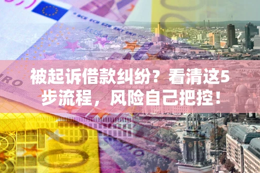 北京被起诉借款纠纷？看清这5步流程，风险自己把控！