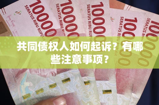 北京共同债权人如何起诉？有哪些注意事项？